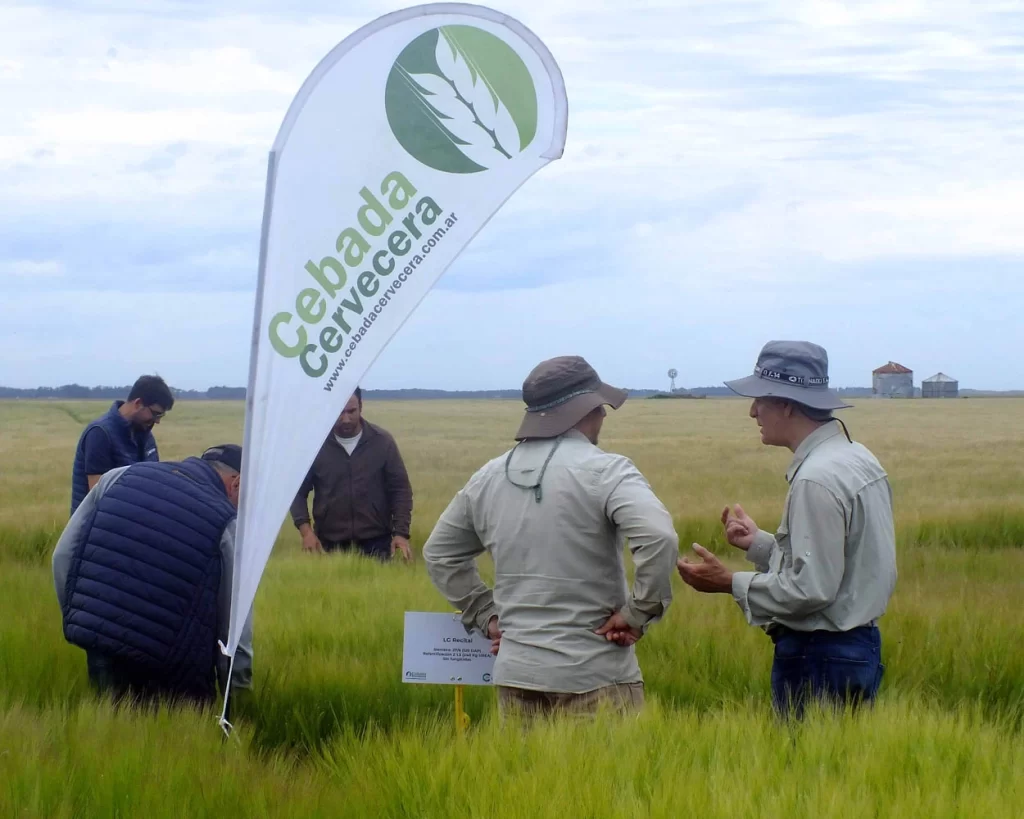 Jornada de Cebada - Orense - 2025