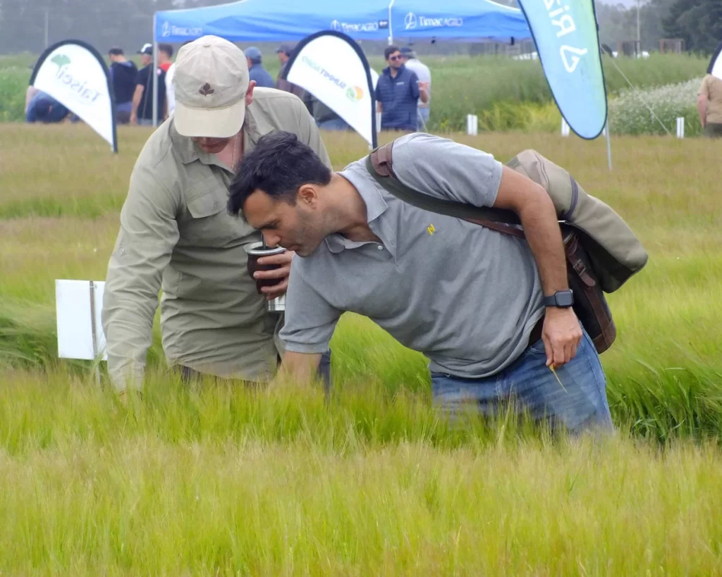 Jornada de Cebada - Orense - 2025