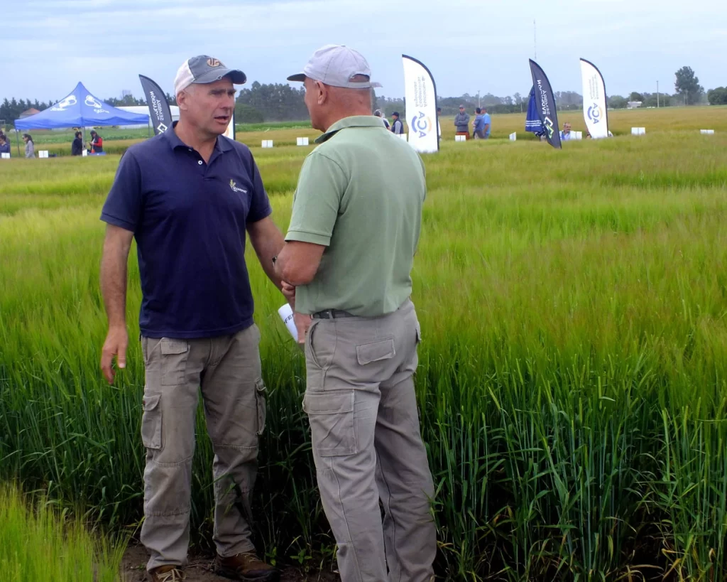 Jornada de Cebada - Orense - 2025