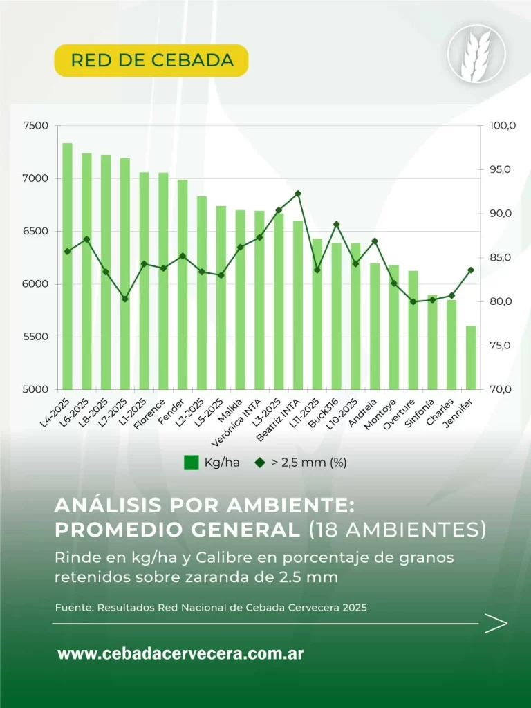 Cebada en Argentina: resultados por ambiente de la Red Nacional de Cebada 2025