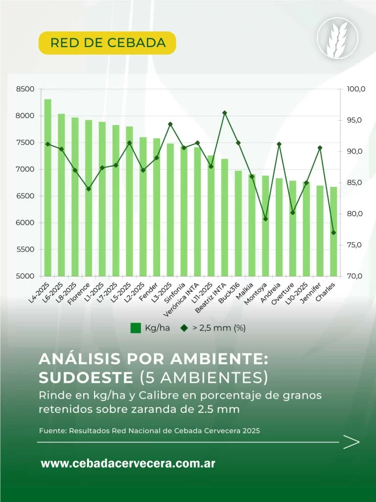 Cebada en Argentina: resultados por ambiente de la Red Nacional de Cebada 2025