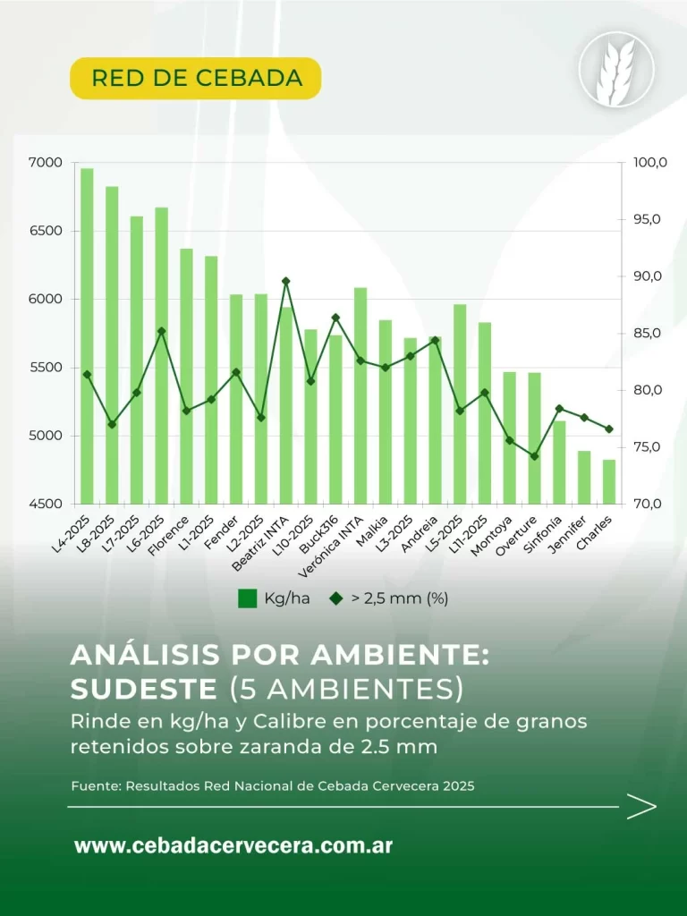 Cebada en Argentina: resultados por ambiente de la Red Nacional de Cebada 2025