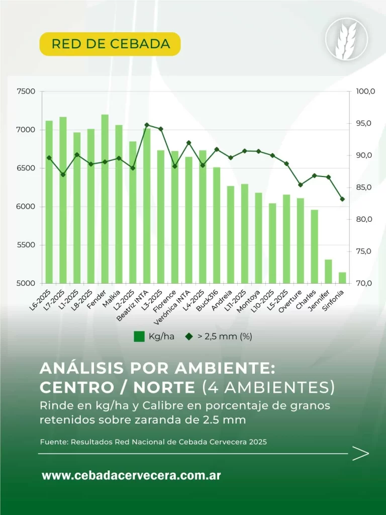 Cebada en Argentina: resultados por ambiente de la Red Nacional de Cebada 2025