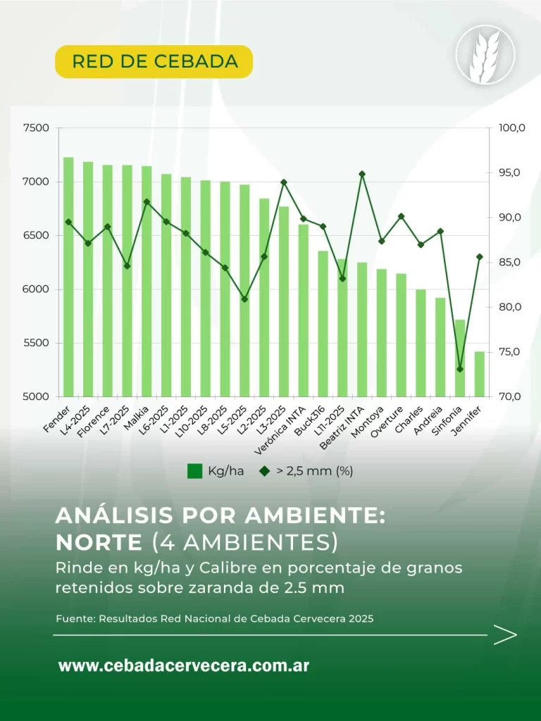 Cebada en Argentina: resultados por ambiente de la Red Nacional de Cebada 2025