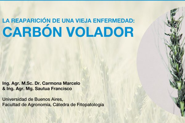 Sanidad: La reaparición de una vieja enfermedad, Carbón Volador