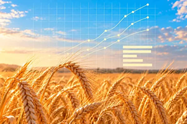 Cebada: Distribución varietal en Argentina - Año 2026