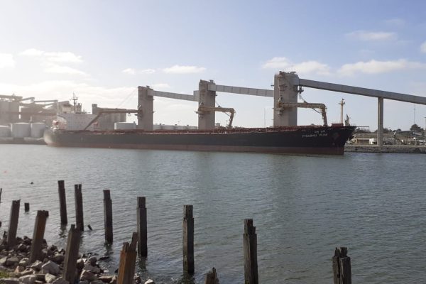 Exportación de Cebada en Puerto Quequén