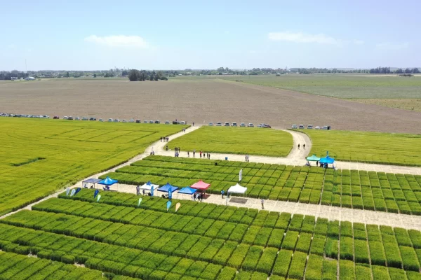 Jornada de Cebada - Orense 2023