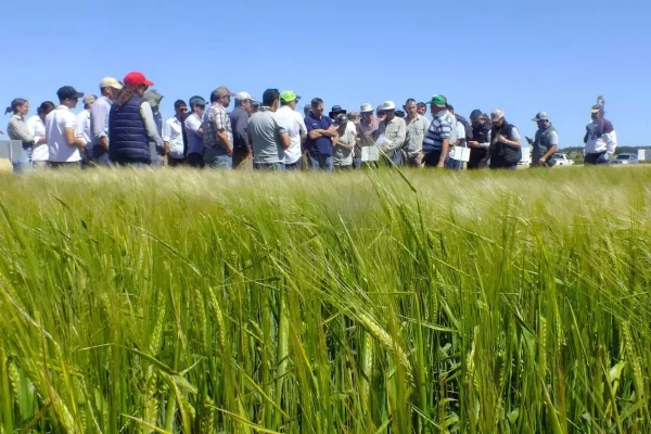 Jornada de Cebada - Orense 2024