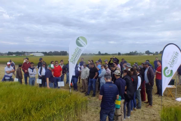 Jornada de Cebada: Orense volvió a ser el punto de encuentro del sector cebadero