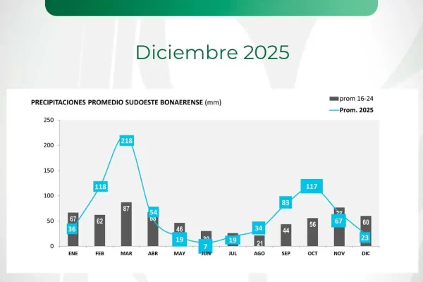 Lluvias en el Sudoeste bonaerense