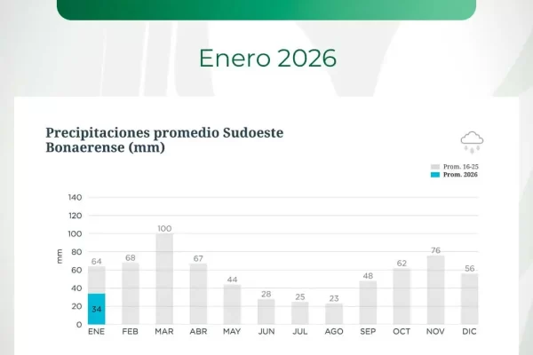 Lluvias en el Sudoeste bonaerense