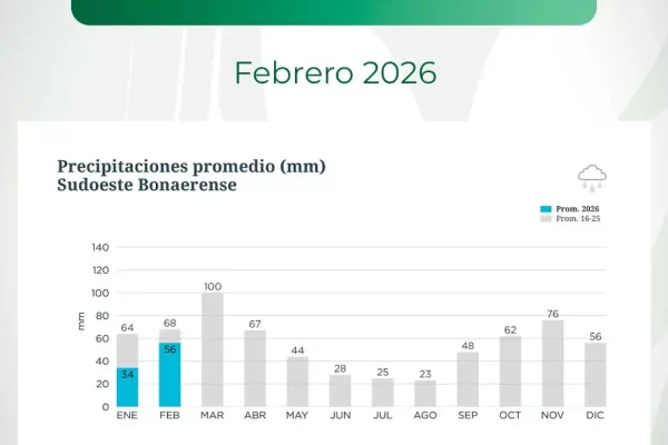 Lluvias en el Sudoeste bonaerense