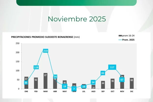 Lluvias en el Sudoeste: registros de noviembre 2025