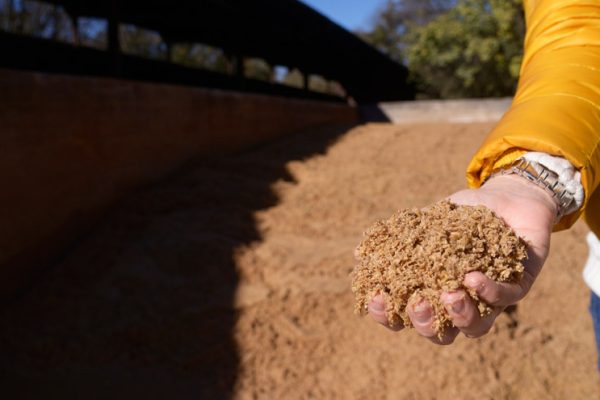 Utilizan residuo de la industria cervecera para la fabricación de ladrillos