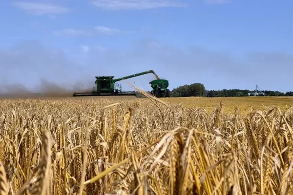 Cosecha de Cebada en Necochea, Argentina