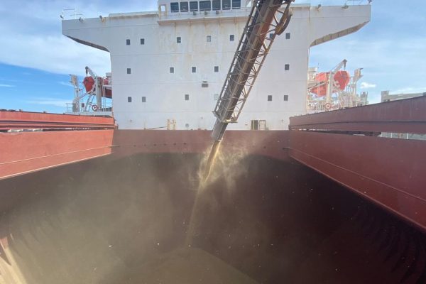 Cuáles son los mayores exportadores argentinos de Cebada