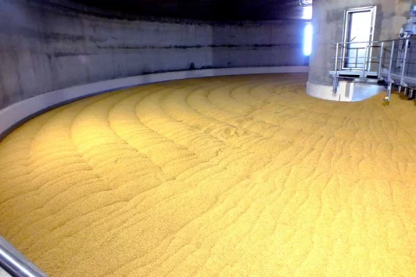 Cebada - Producción de Malta