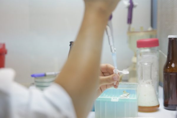 Secuenciaron el genoma completo de 122 levaduras de la industria cervecera