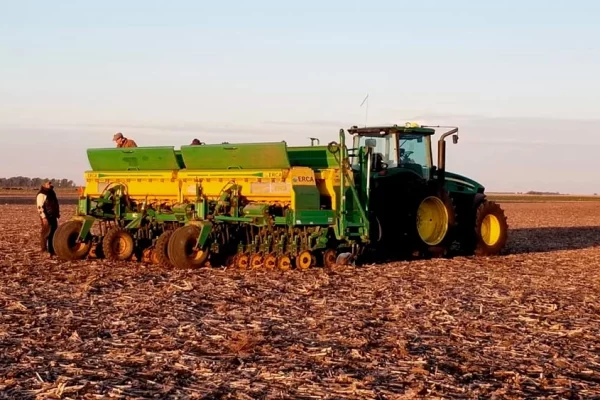 Cebada: recomendaciones para tener en cuenta antes de sembrar