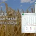 Cebada: distribución varietal estimada en Argentina