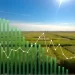 Cebada en Argentina: resultados por ambiente de la Red Nacional de Cebada 2025